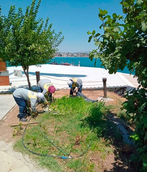 Didim Belediyesi Akköy tıbbi aromatik bitkiler ve süs bitkileri fidanlığında üretimi büyütüyor